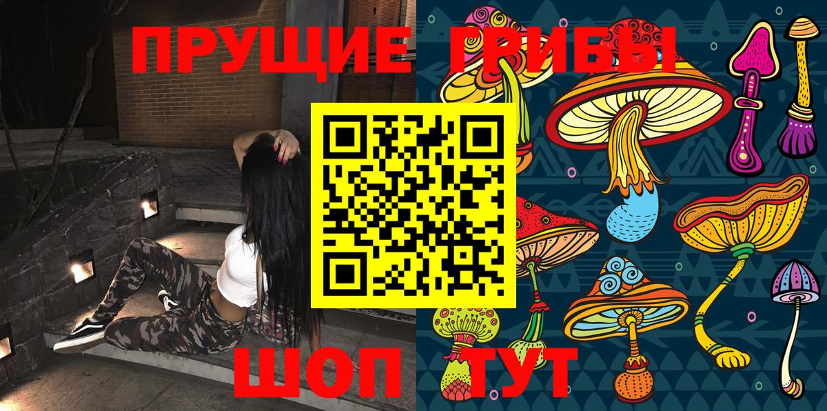Галлюциногенные грибы Psilocybe  Вход с VPN  купить наркоту  Тула 